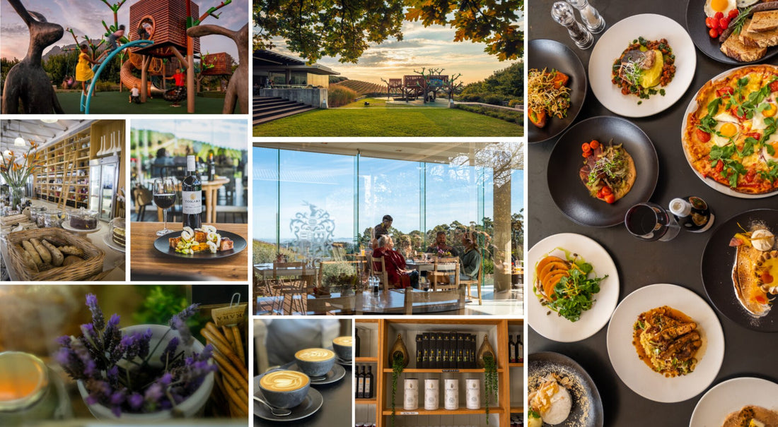 Birds, Brushes & Bubbles: An Art Safari to Remember at Tokara