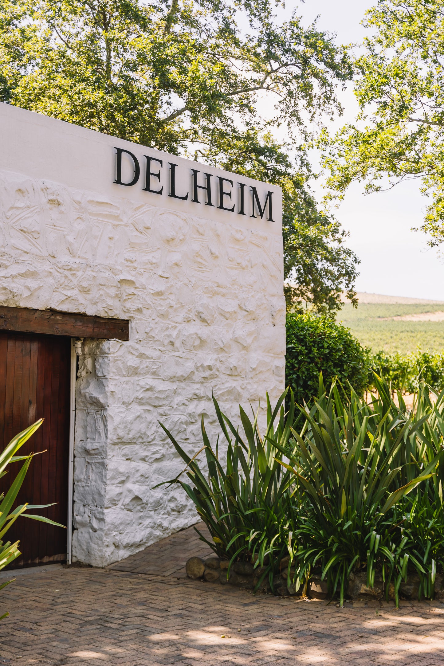 Delheim Bird Art Safari