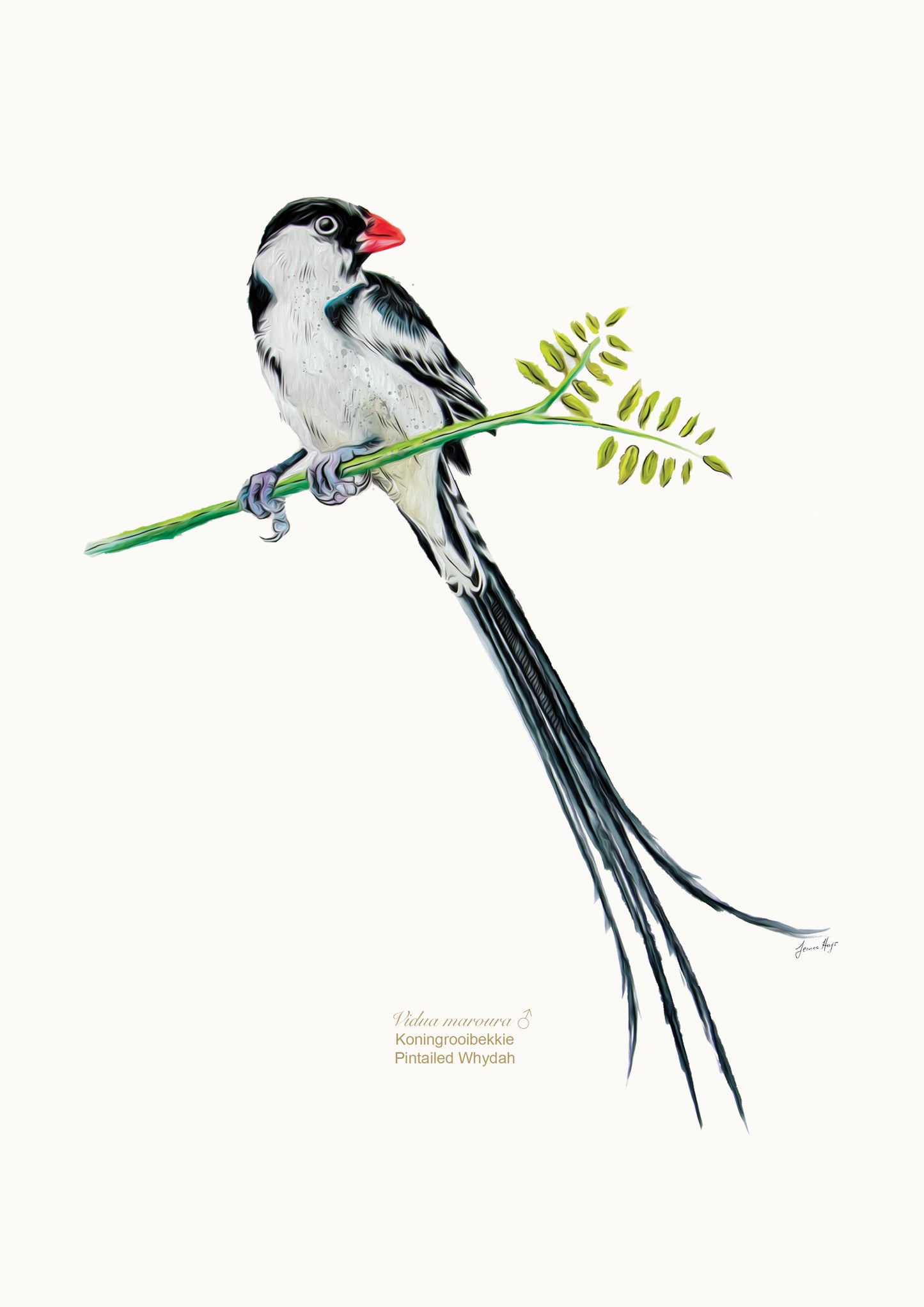 Prints: Garden Birds A4