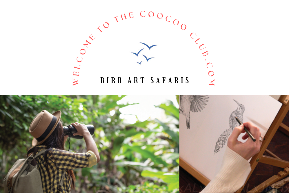 The Coocoo Club BIRD art Safaris