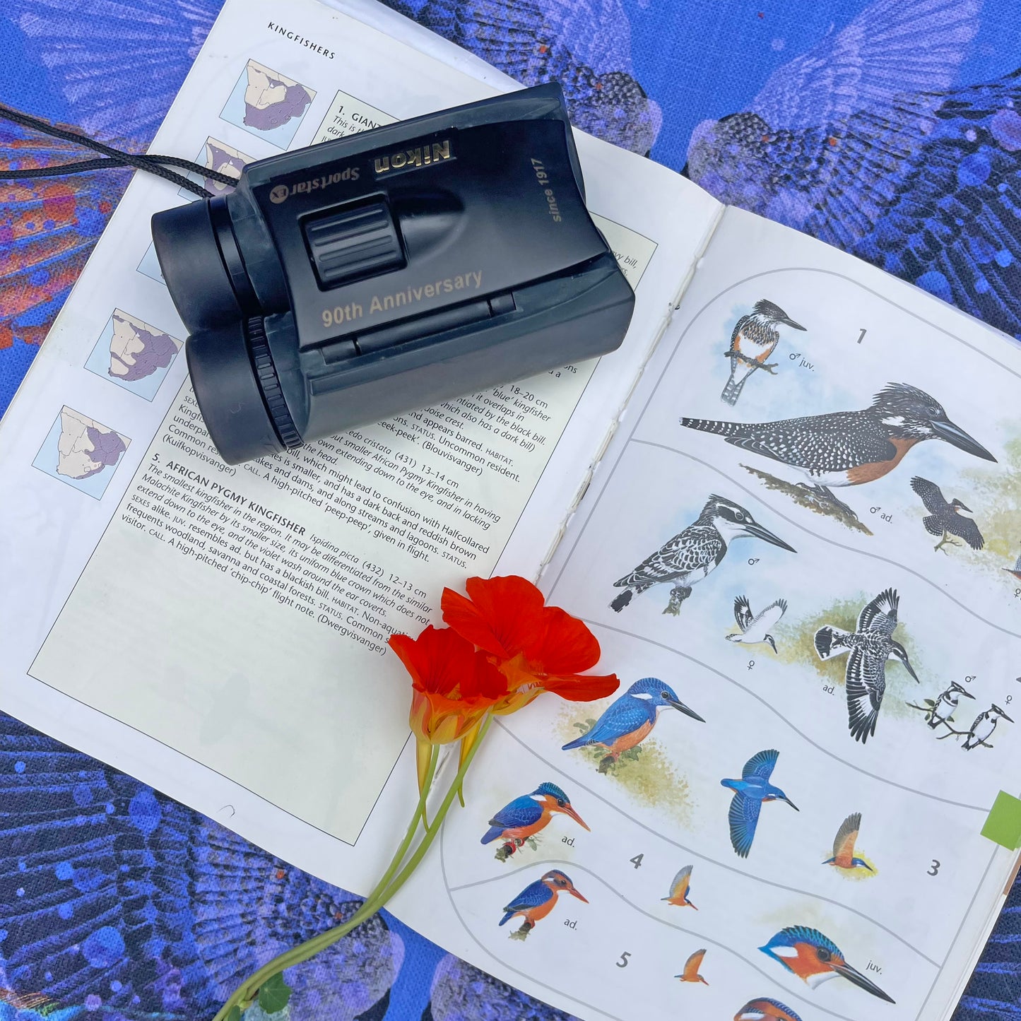 Binoculars on a book with bird illustrations and a red flower on a blue patterned background