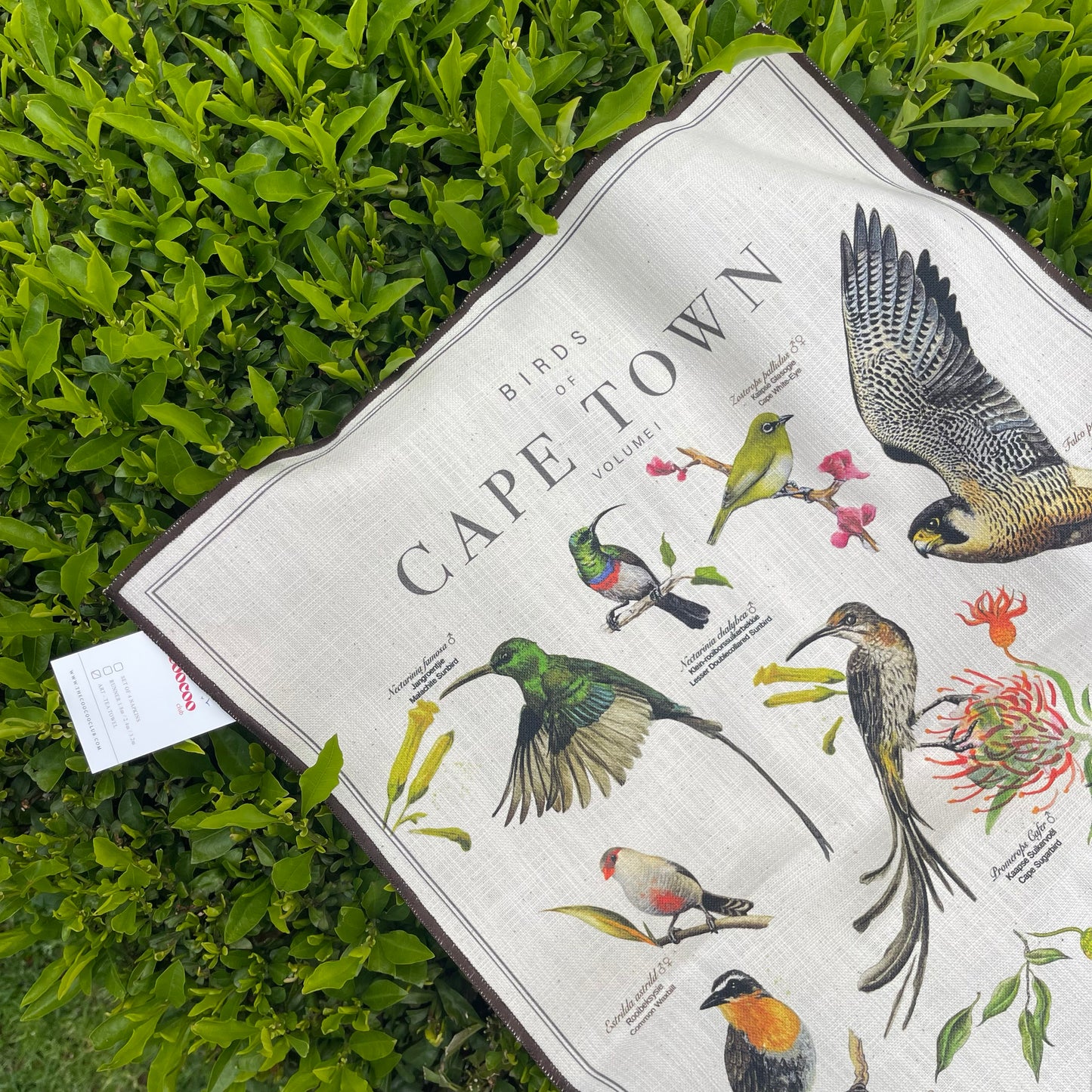 Tea Towel: Birds of South Africa