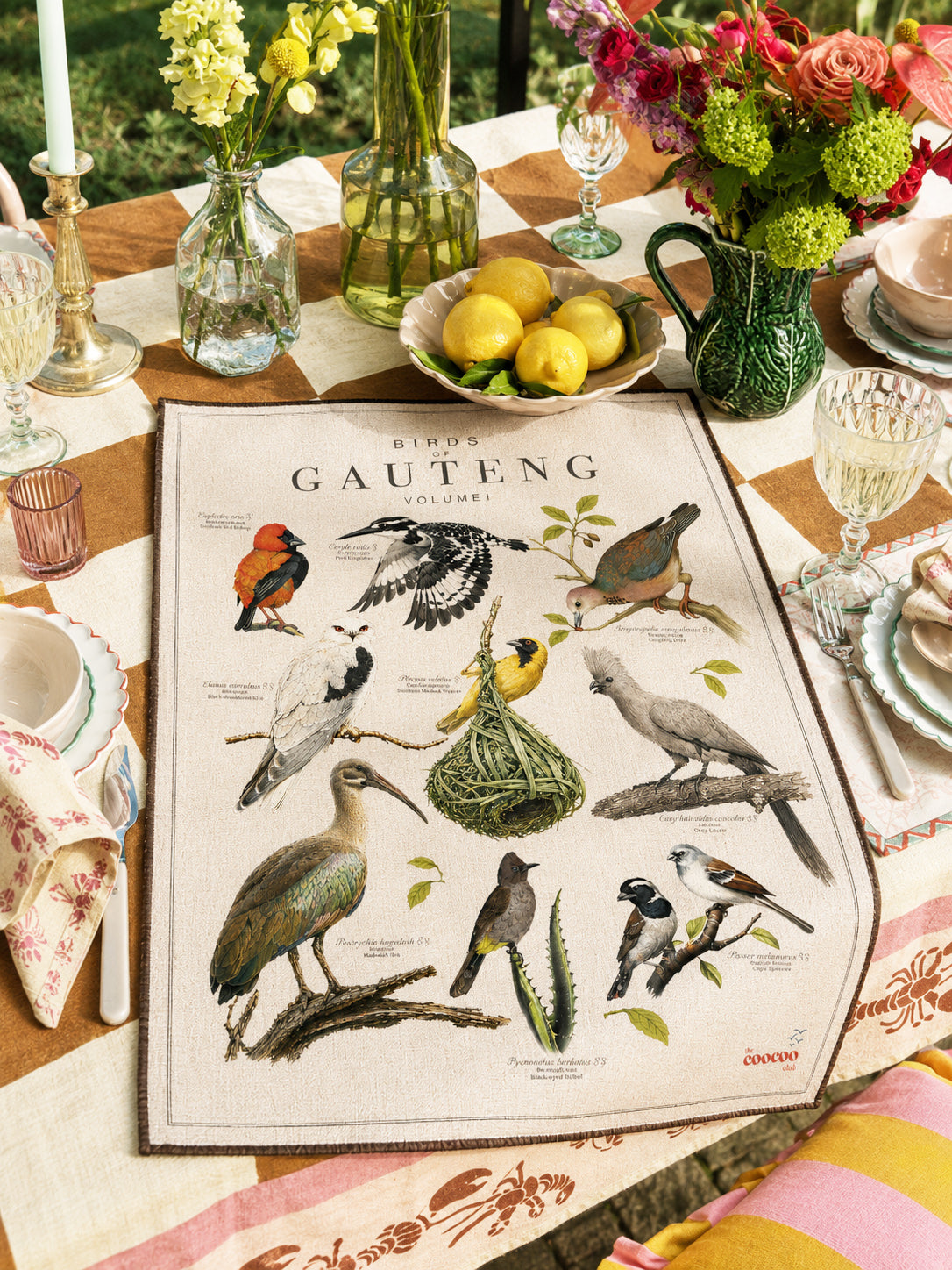 Birds of Gauteng Tea Towel NEW