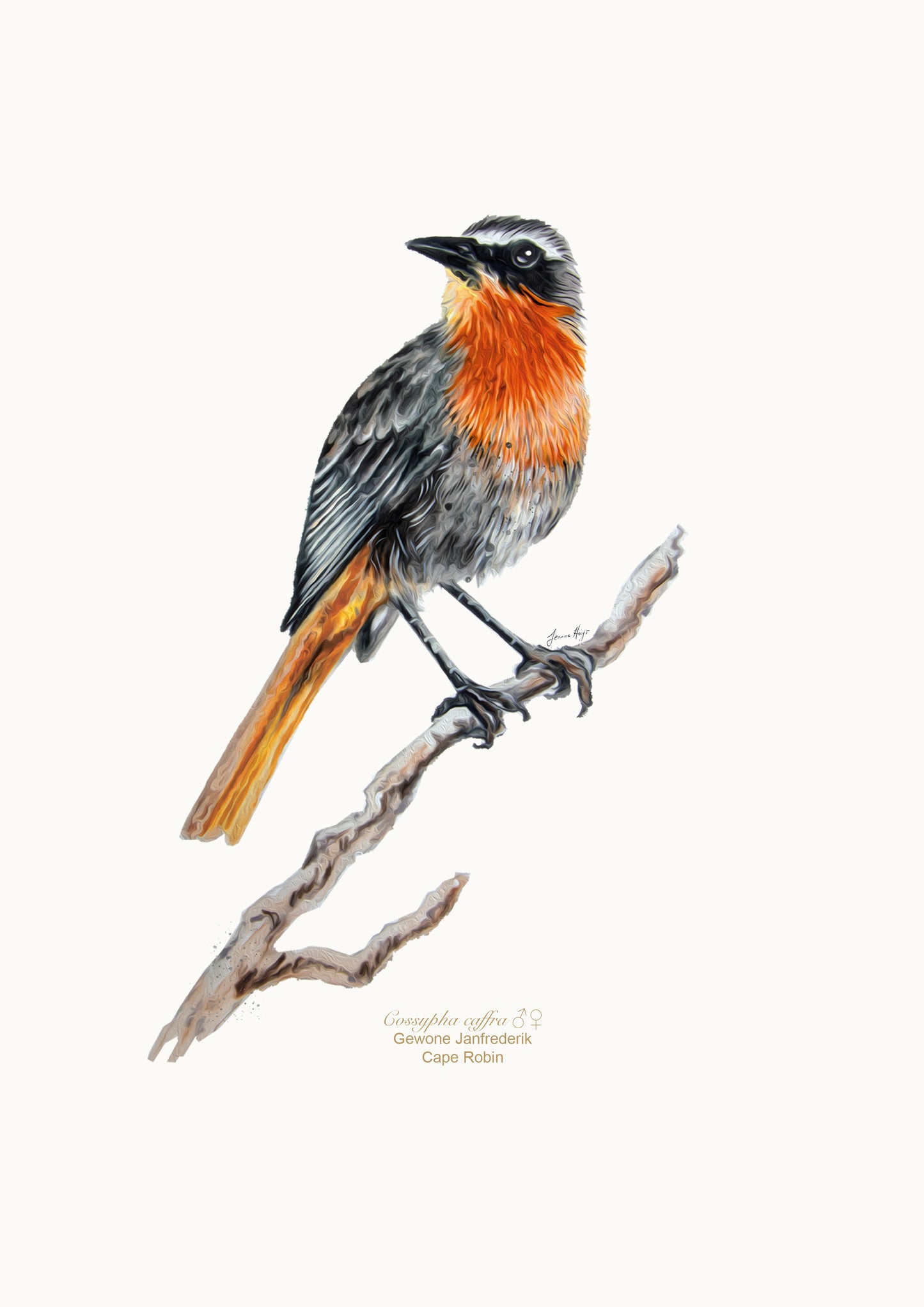 Prints: Garden Birds A4