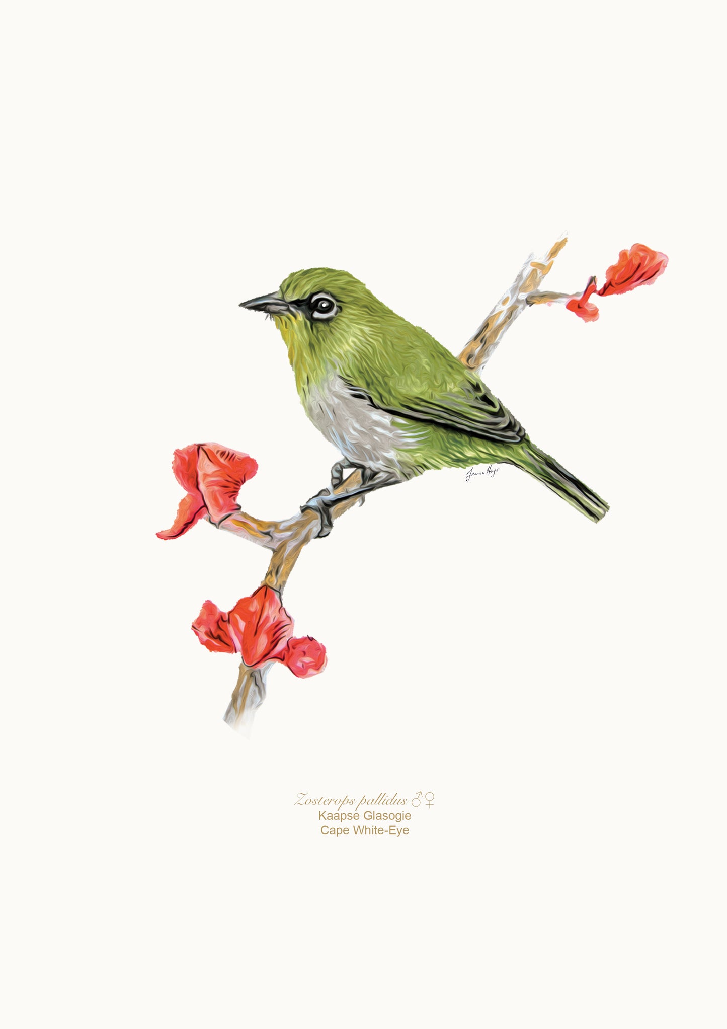 Prints: Garden Birds A4