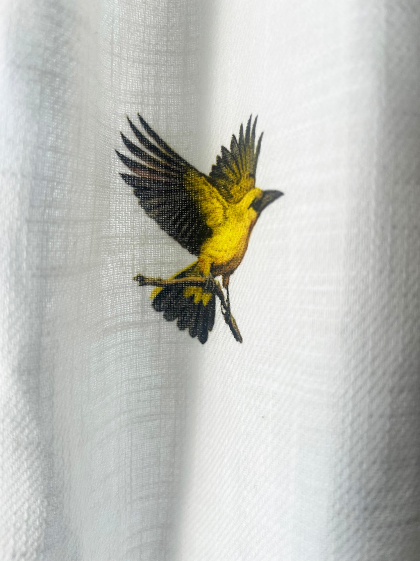 Curtain: Coocoo in Flight