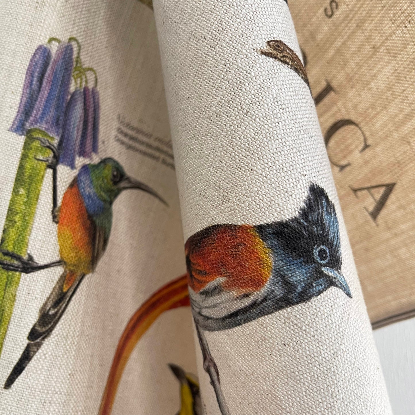 Tea Towel: Birds of South Africa