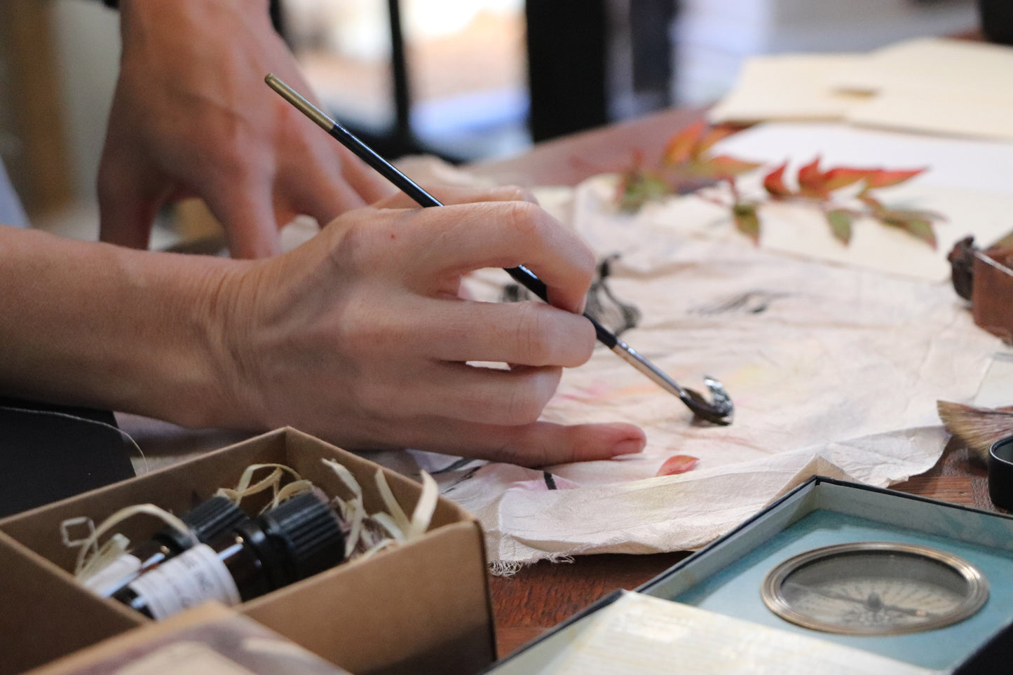 Delheim Bird Art Safari