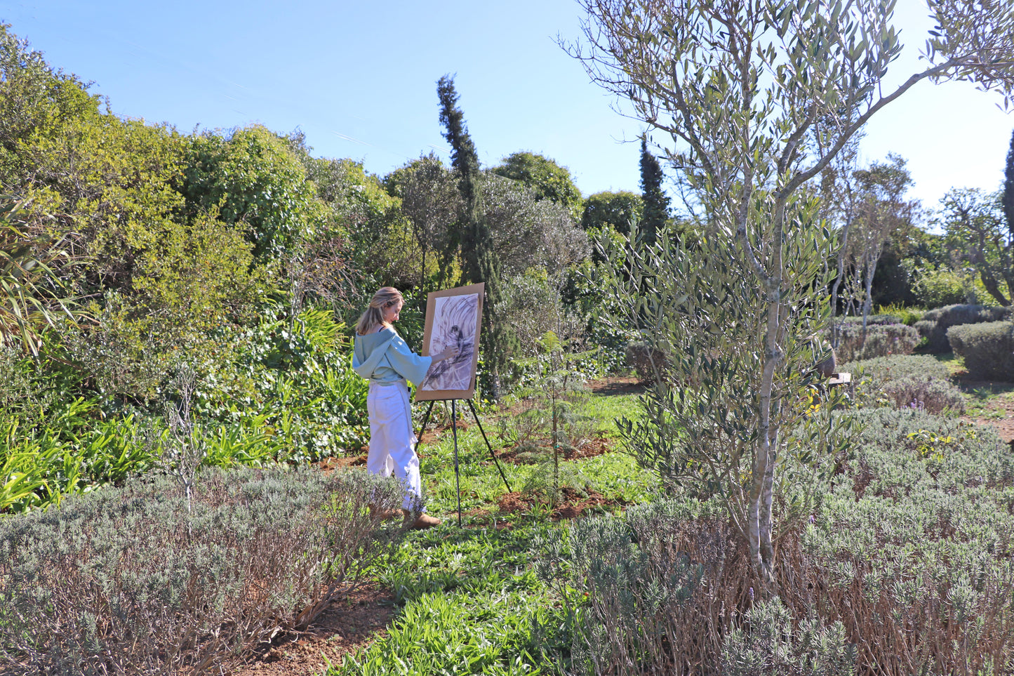 Delheim Bird Art Safari