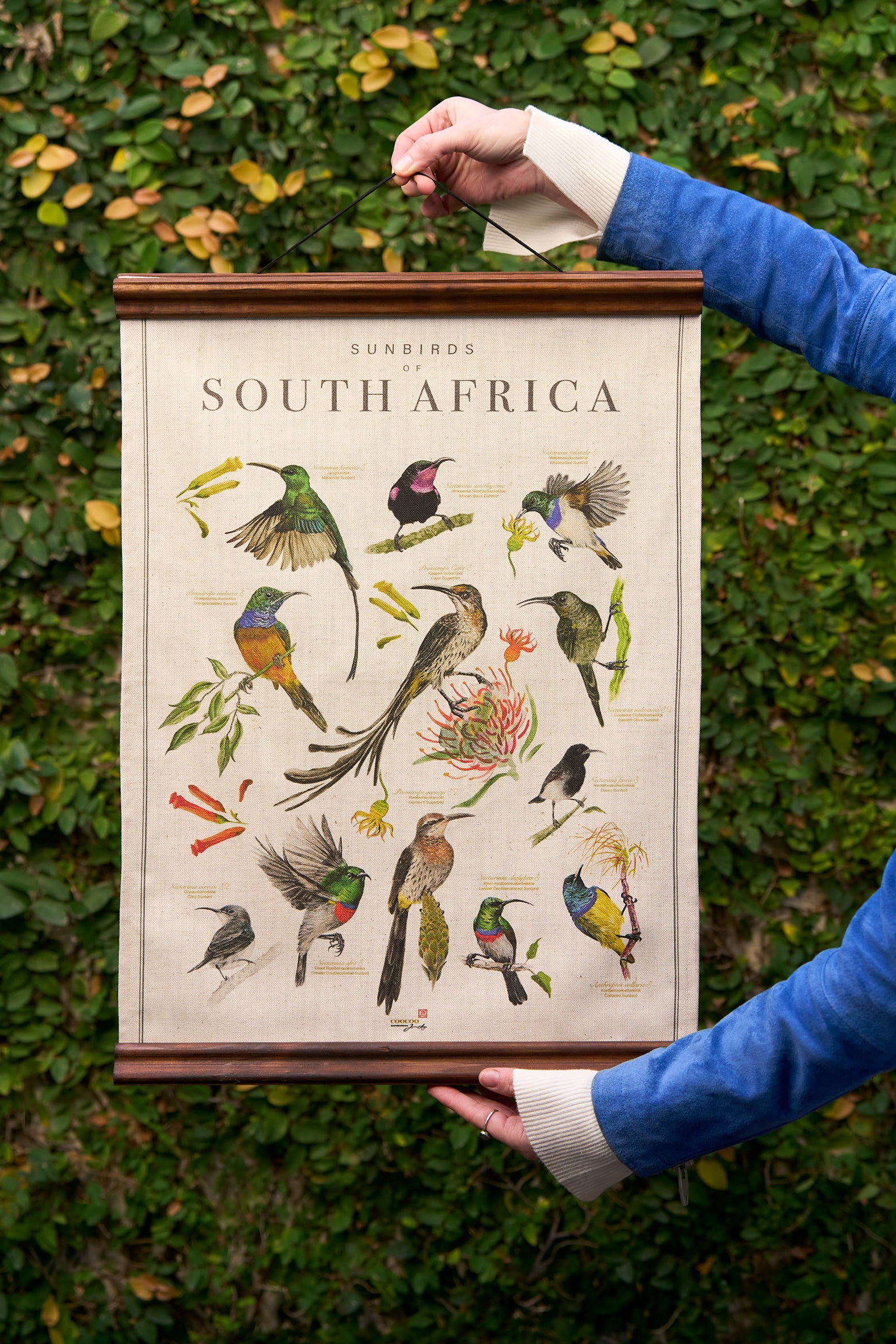 The Coocoo Club Tea Towel