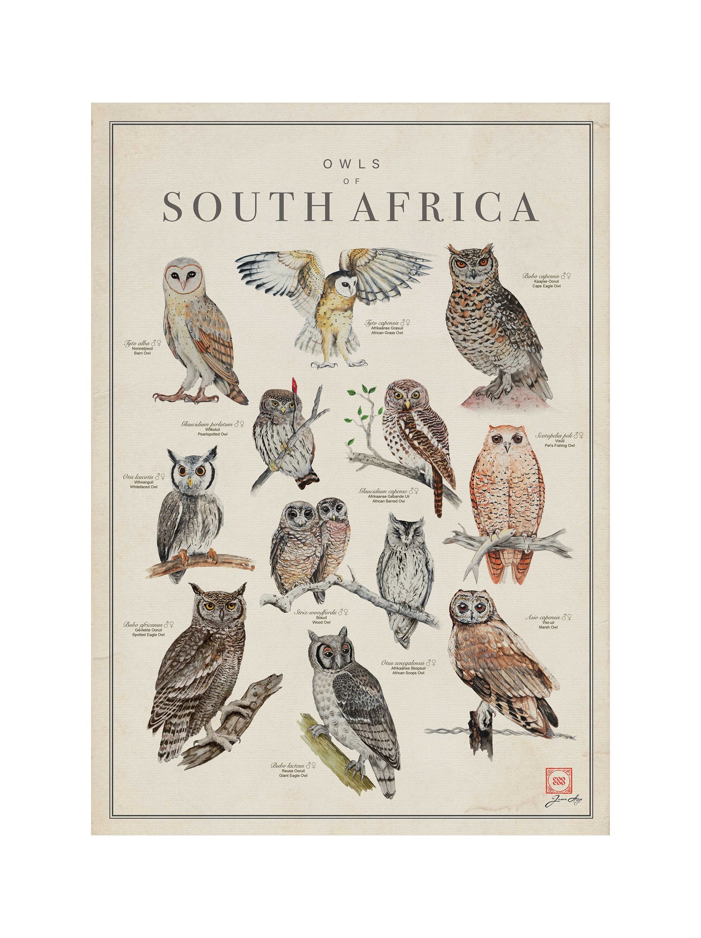 12 Owls Tea Towel