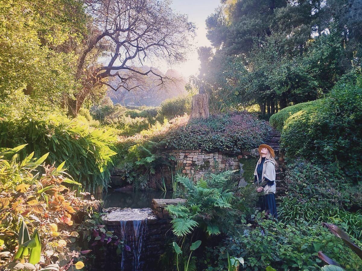 BOSJES Bird Art Safari