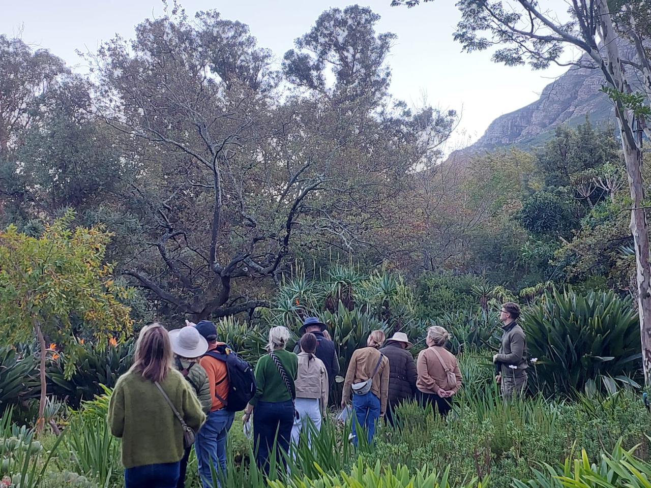 September Tokara Bird Art Safari