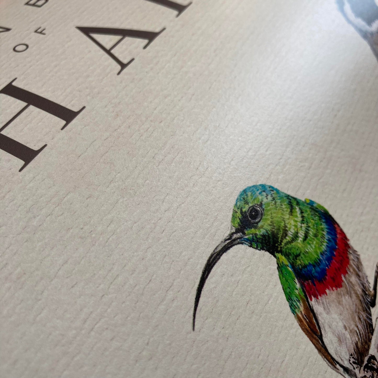 Posters: Choose your Birds of SA