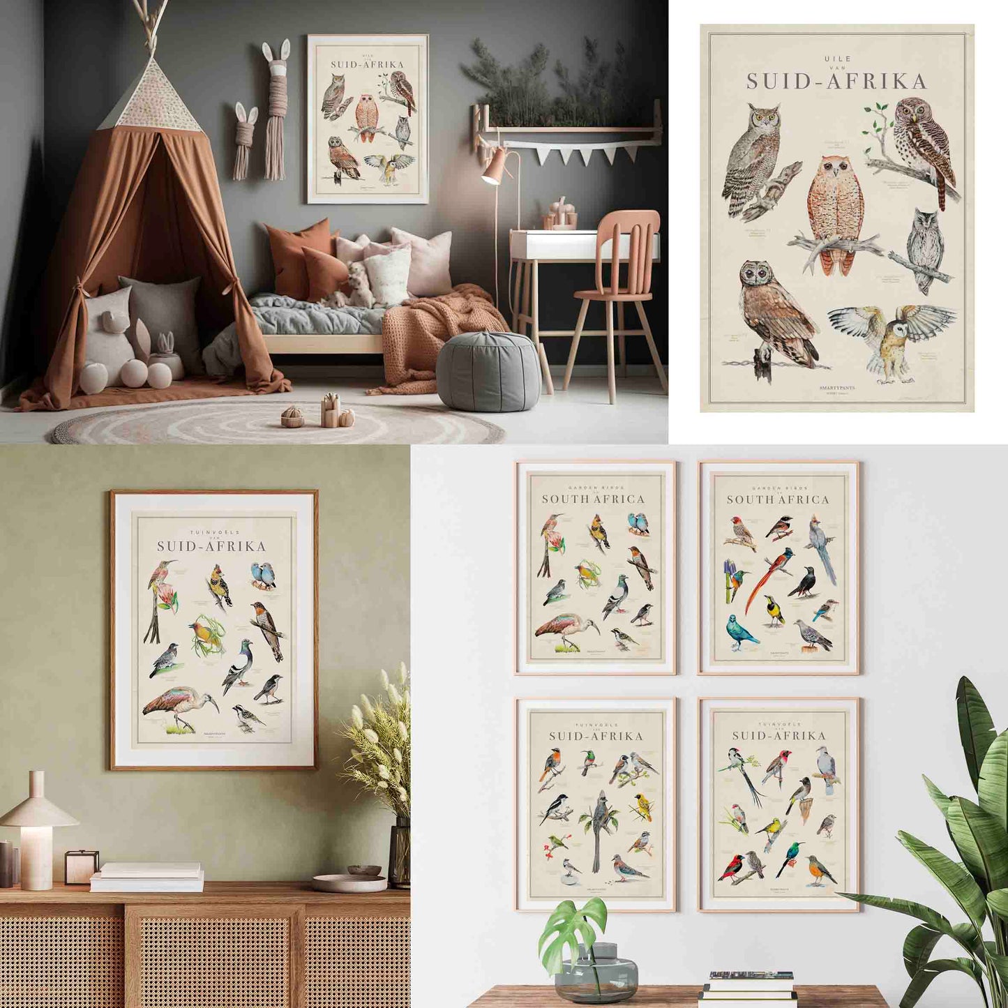 Posters: Choose your Birds of SA