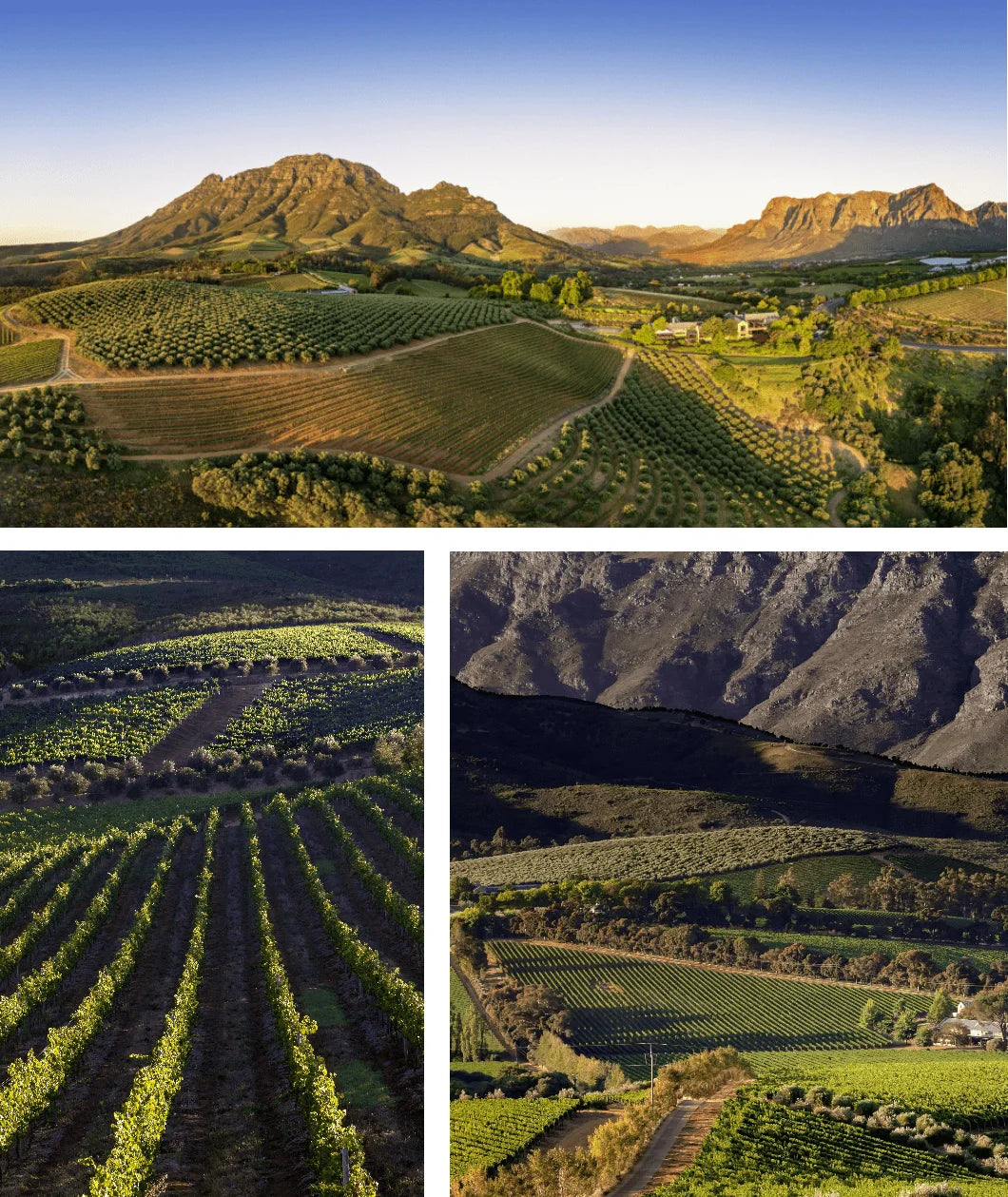 September Tokara Bird Art Safari