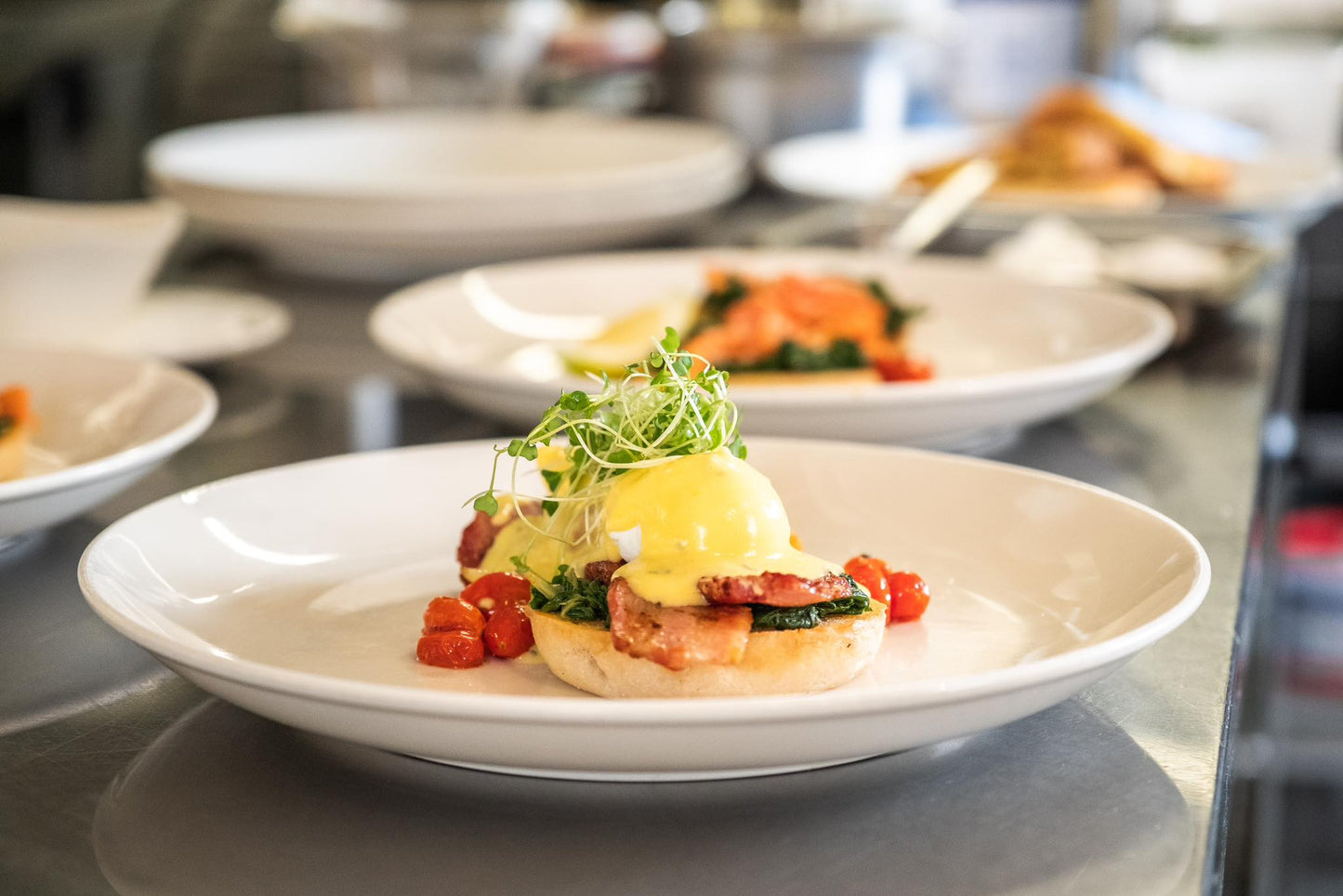 November Tokara Bird Art Safari