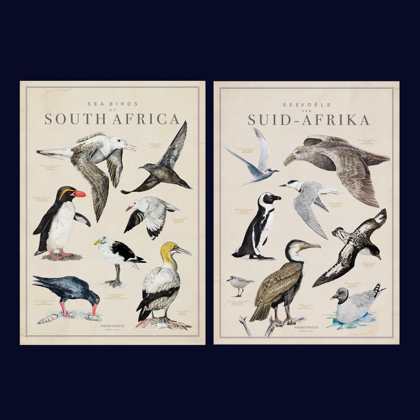 Tea Towel: Birds of South Africa