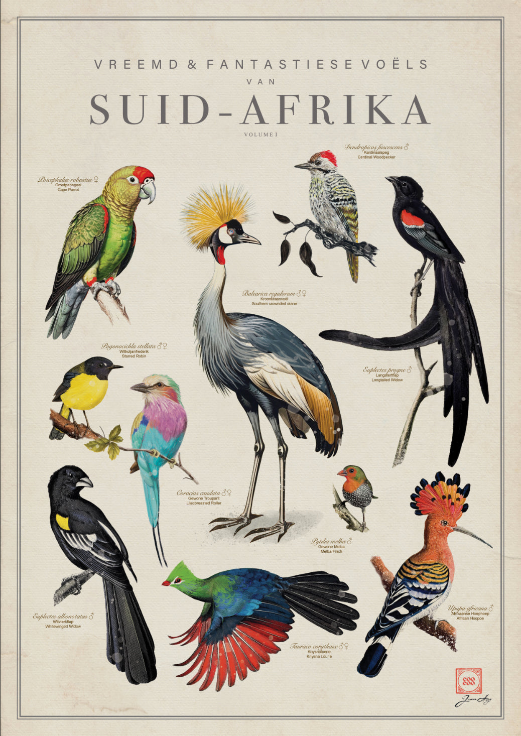 The Coocoo Club Bird Poster