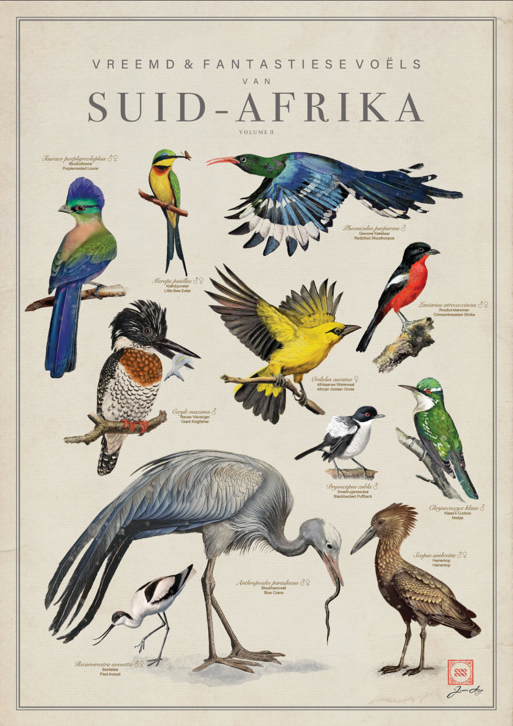 Vintage Birds of South Africa Poster