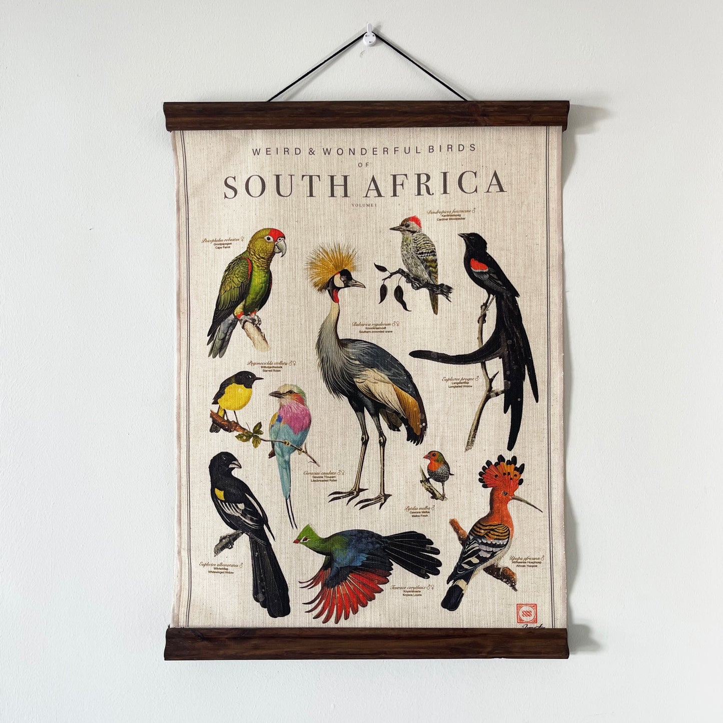 Hanger + Bird Art Combo