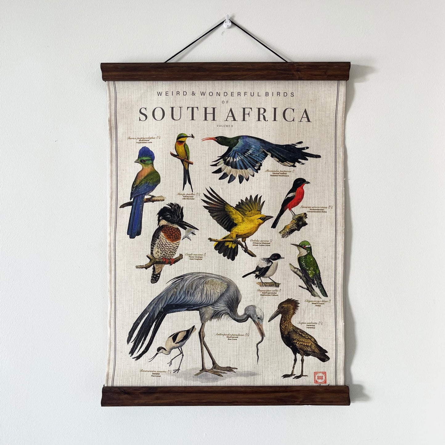 Hanger + Bird Art Combo
