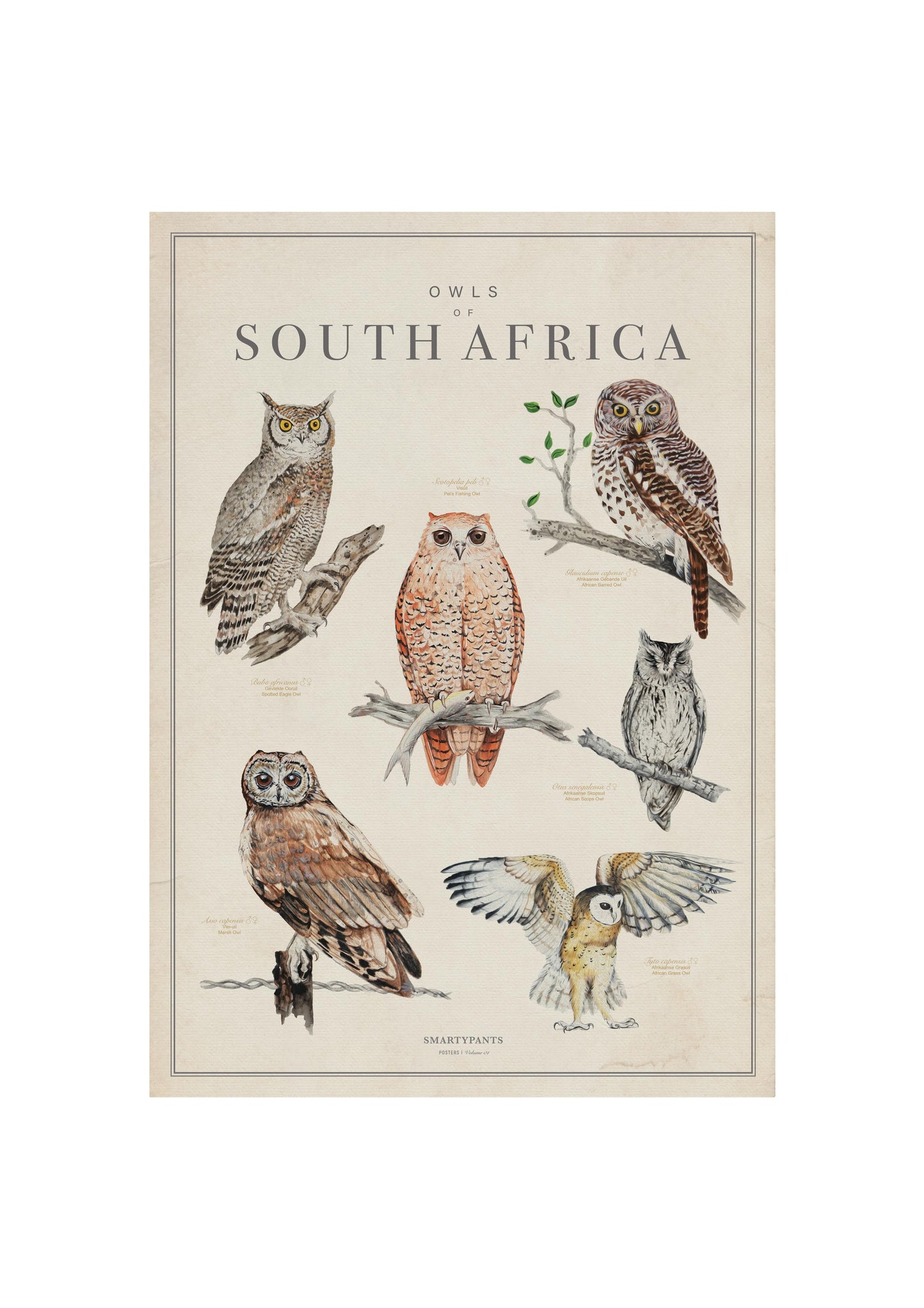 Birds of South Africa Tea Towel