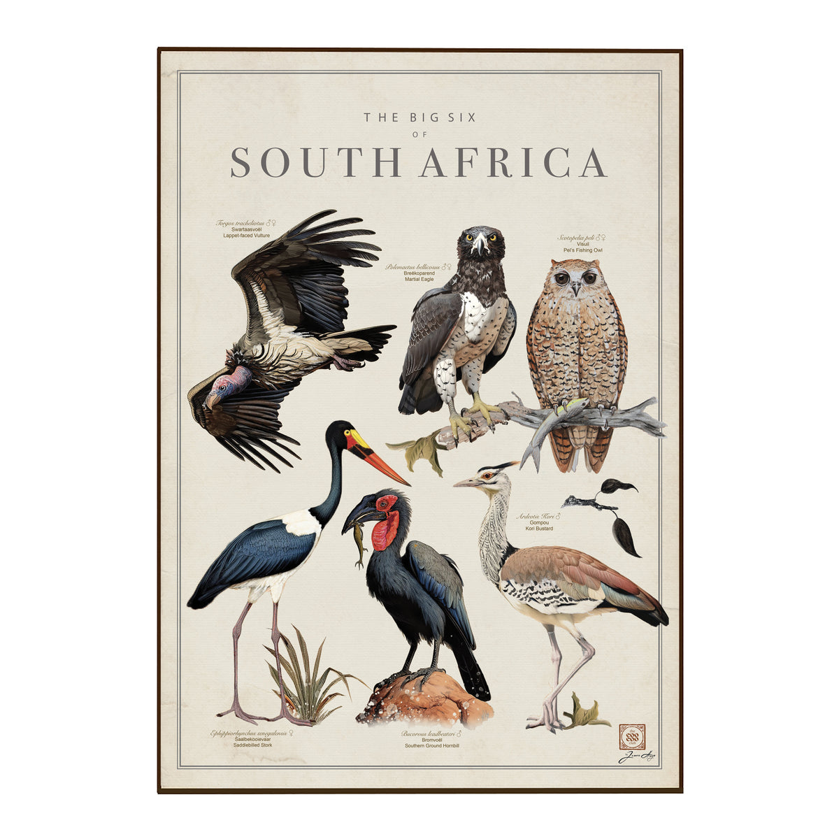 Vintage-style educational poster titled 'THE BIG SIX OF SOUTH AFRICA' showing illustrated birds on an aged cream background with a thin brown border.