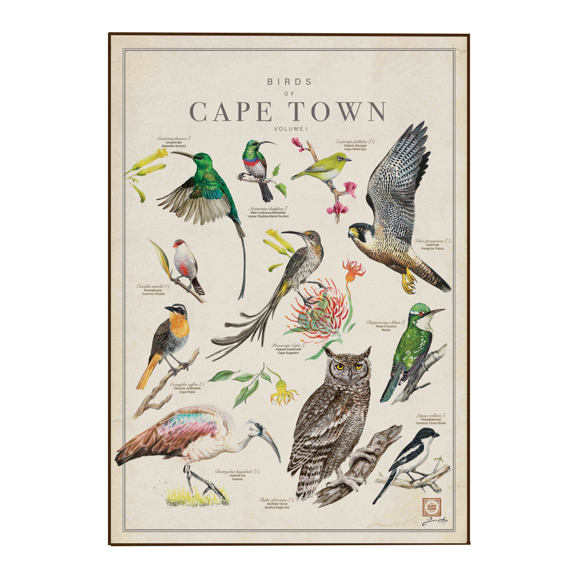 Bird Art Tea Towels
