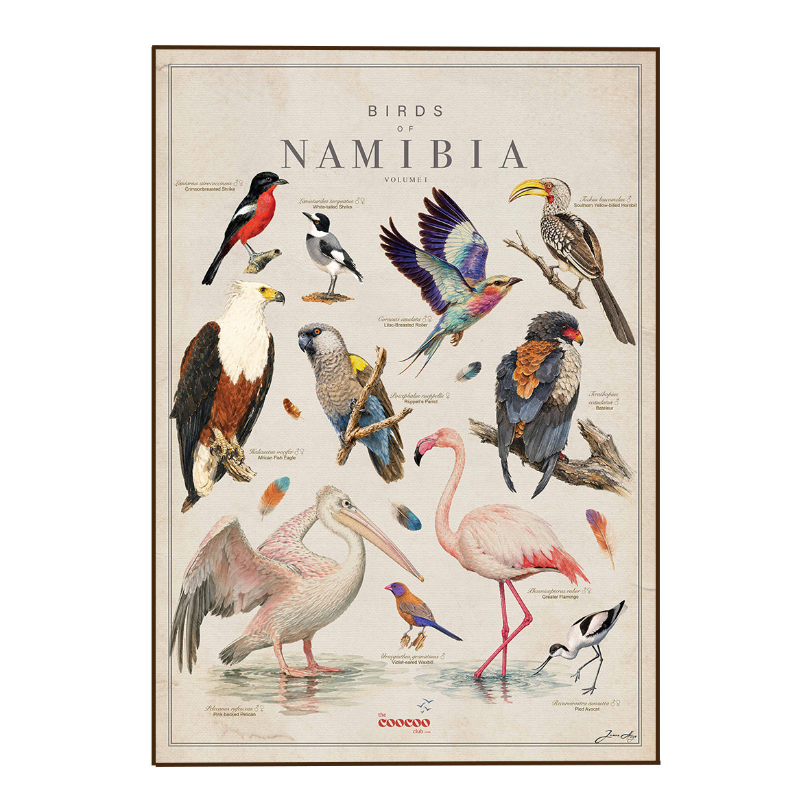 Birds of Namibia Tea Towel
