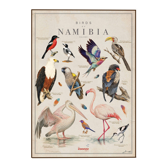 Birds of Namibia Tea Towel