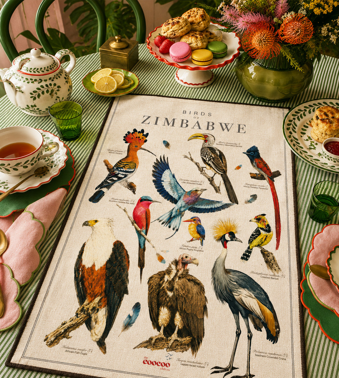 Birds of Zimbabwe