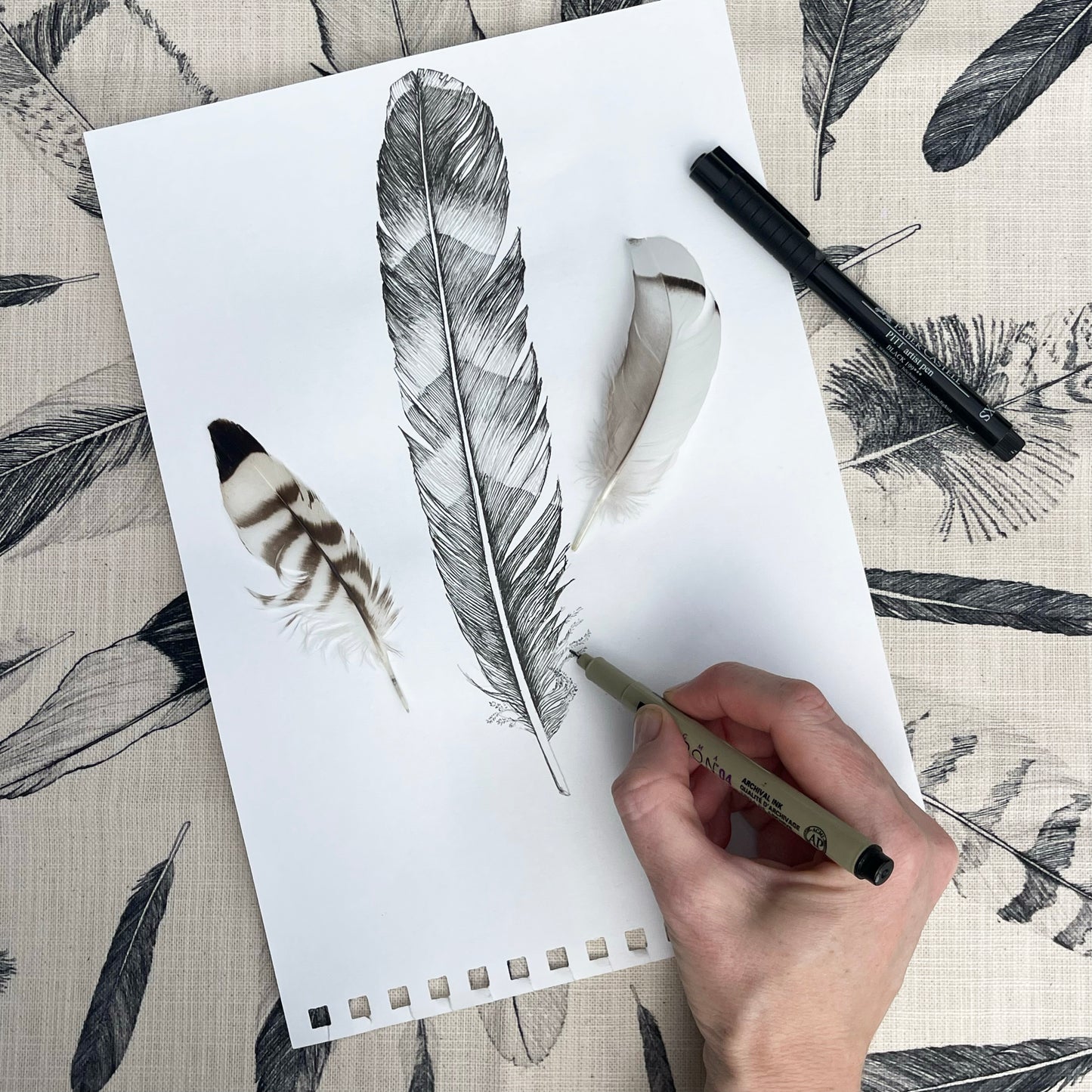 Cushion: Found Feathers