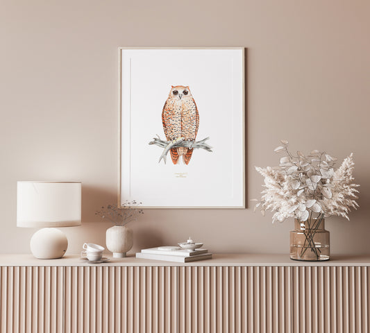 Pels Fishing Owl Wall Art Bird Prints