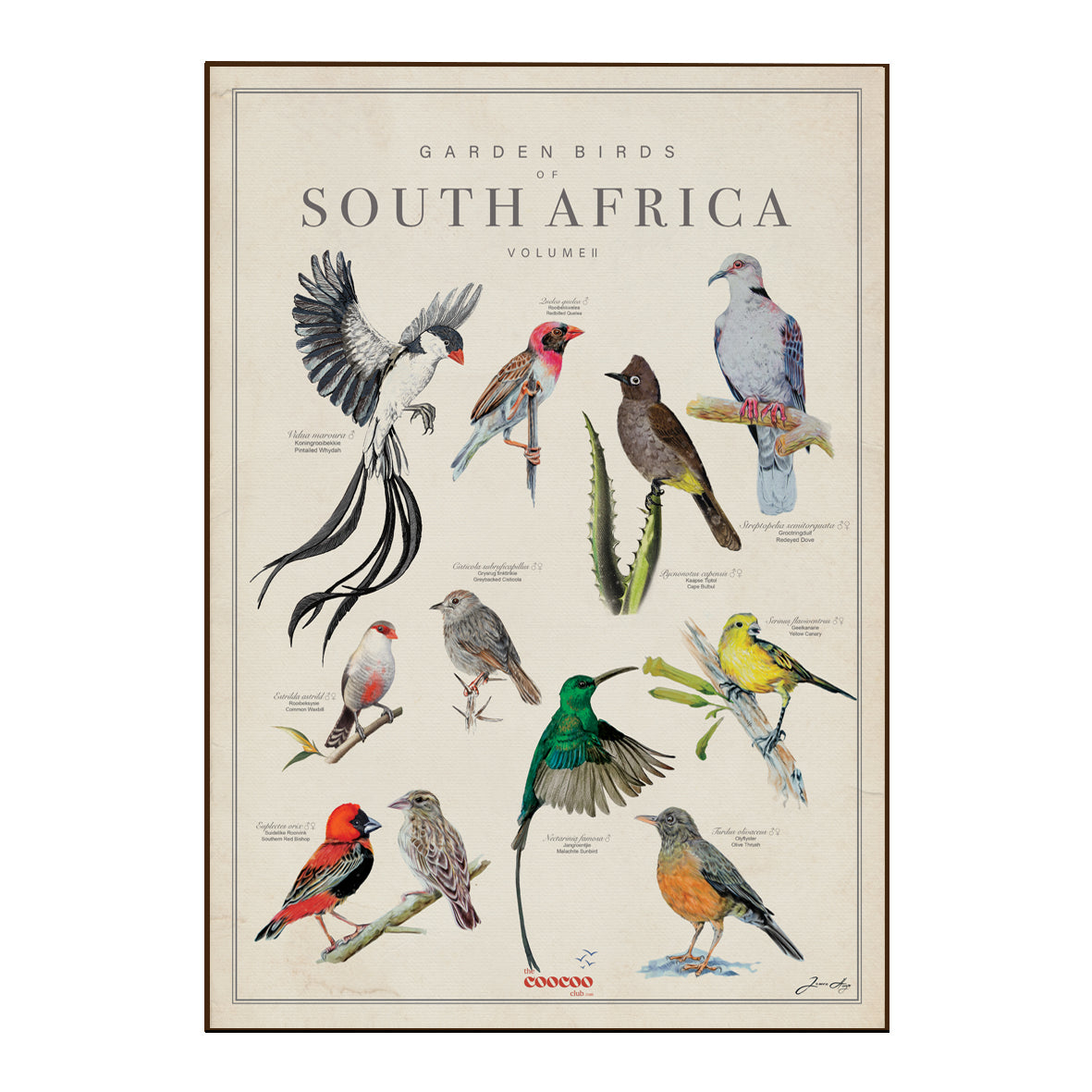 Bird Art Tea Towels