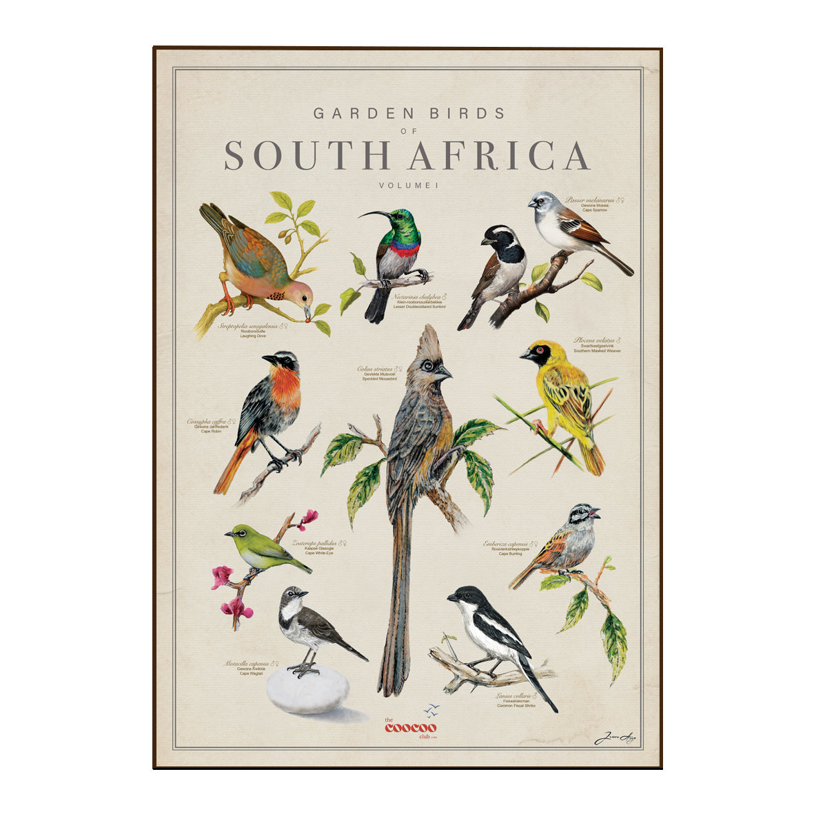 Bird Art Tea Towels