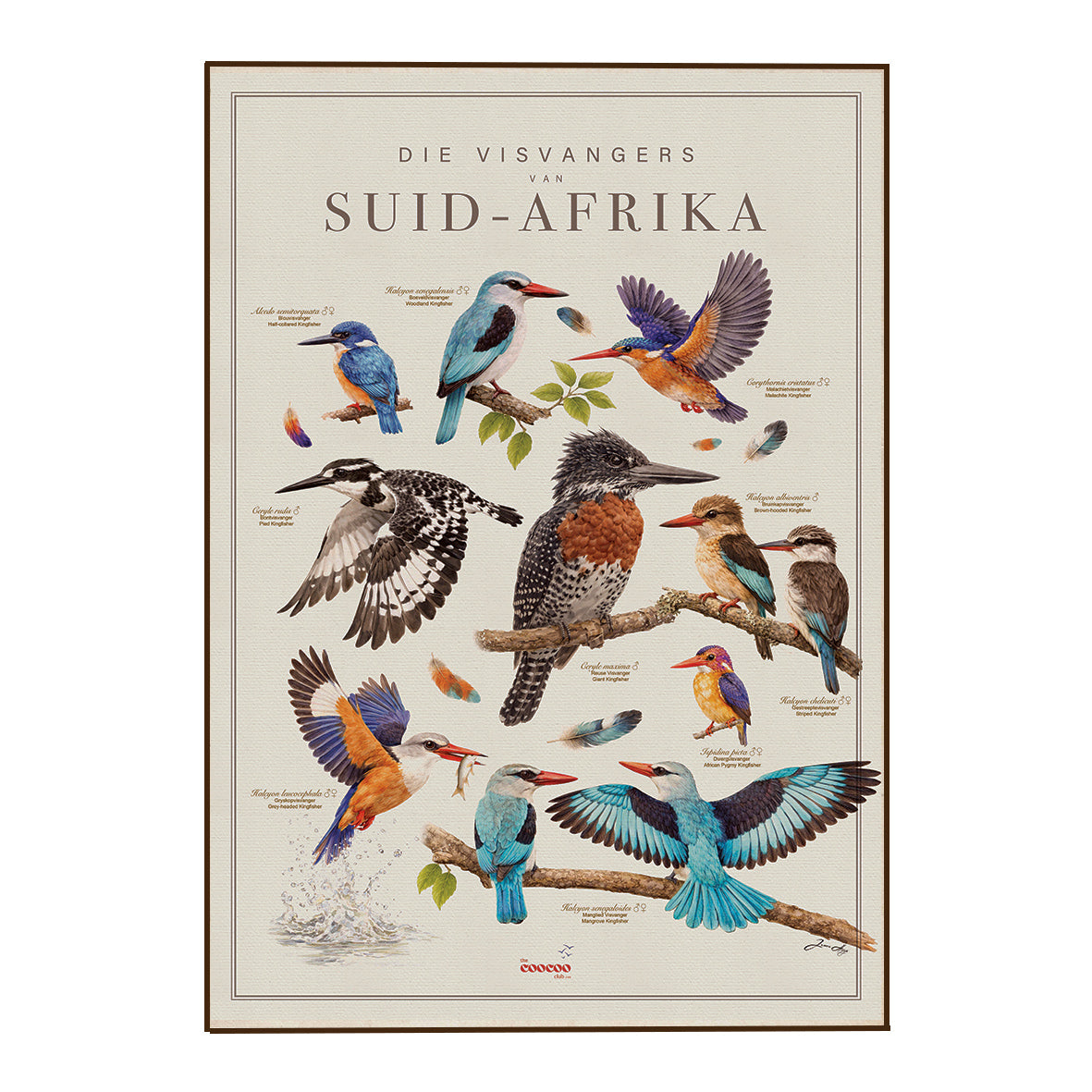 Bird Art Tea Towels