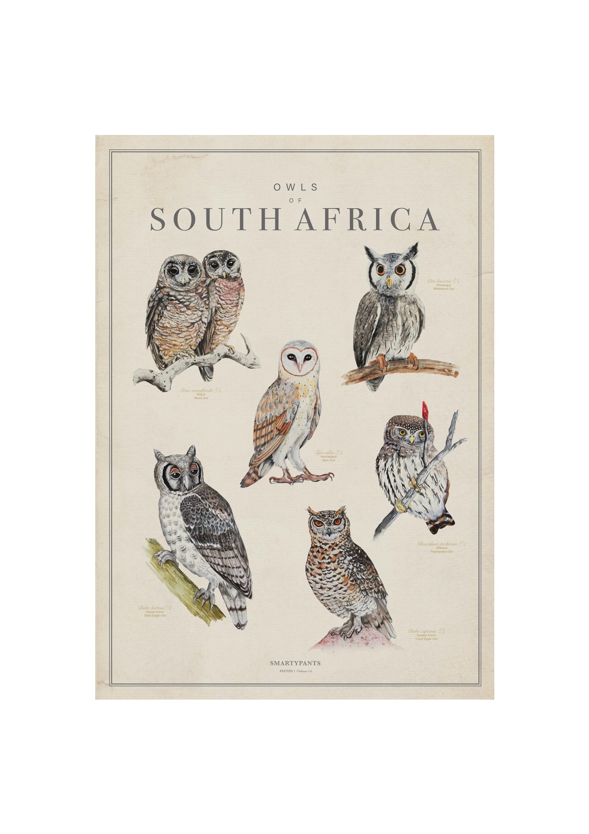 Owls of South Africa