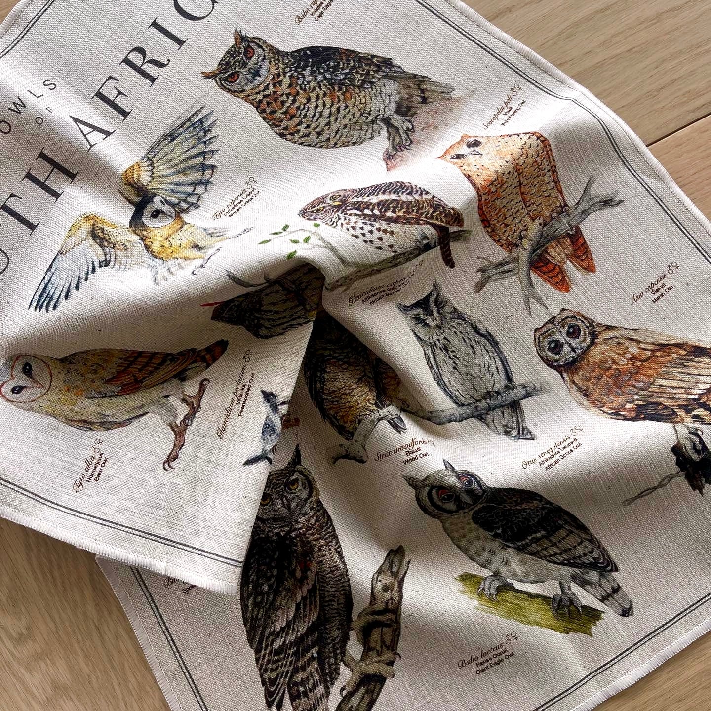 Illustrated Owls of South Africa Bird Art Tea Towel