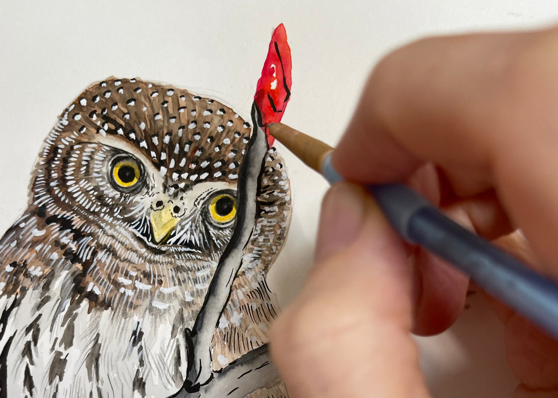 Jeanne Hugo Owl Illustration