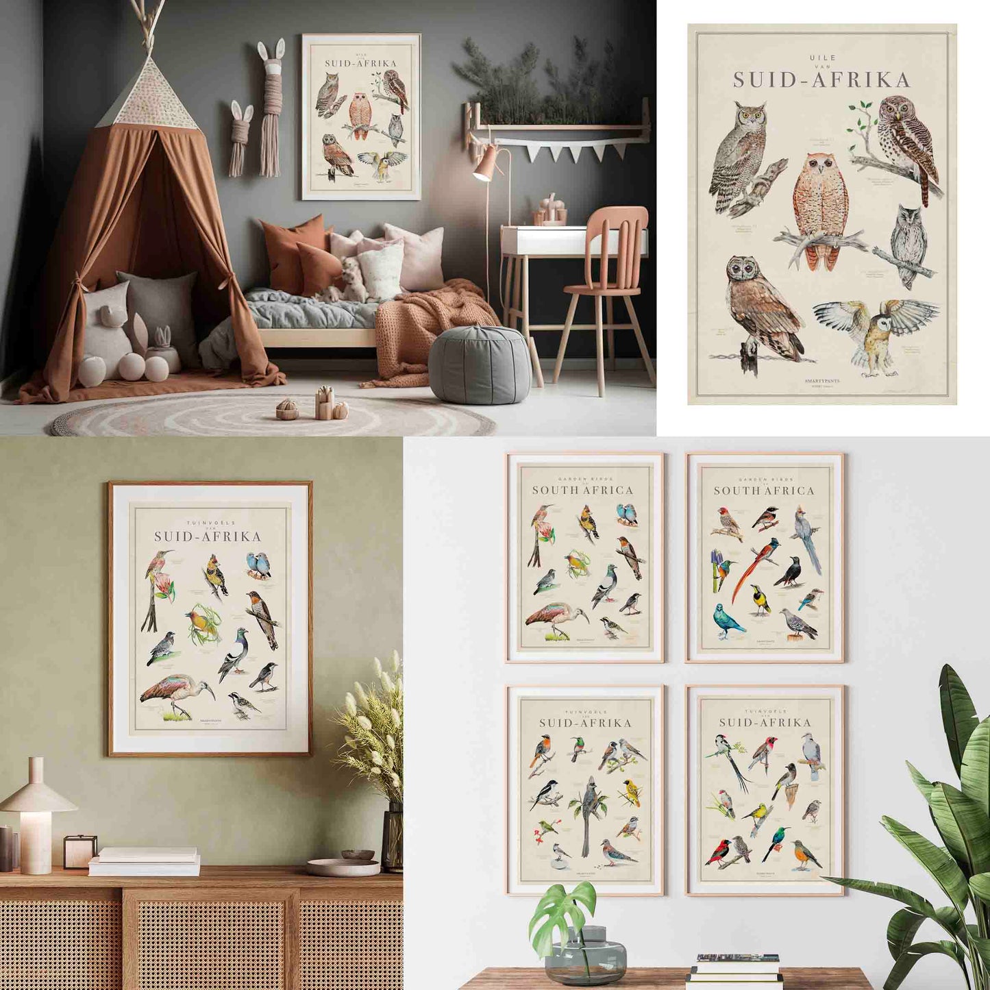 Choose your Birds of SA Poster