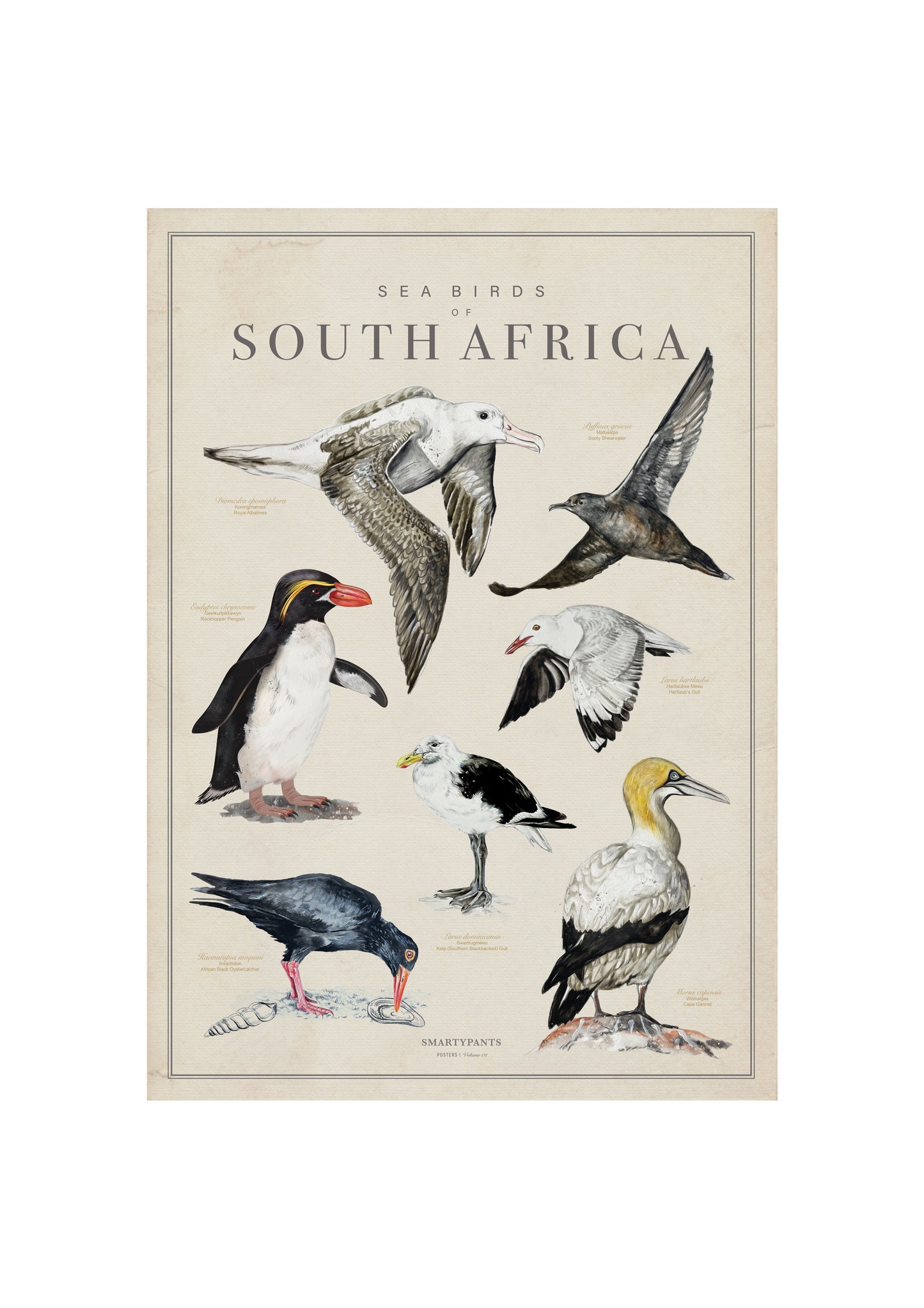 Birds of South Africa Tea Towel