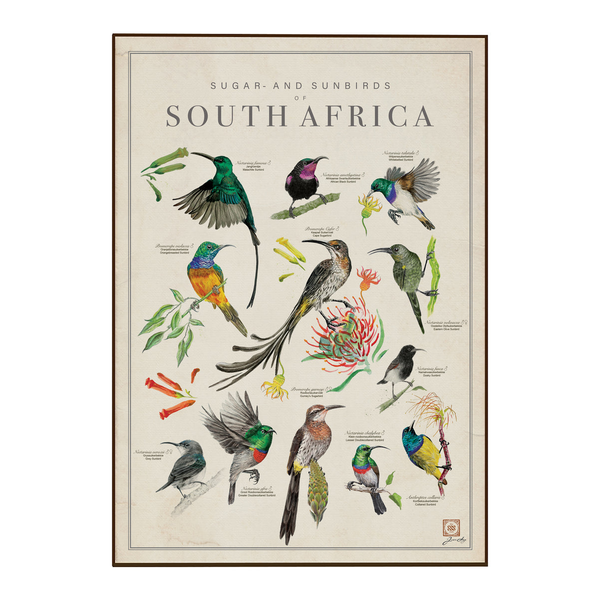 Bird Art Tea Towels