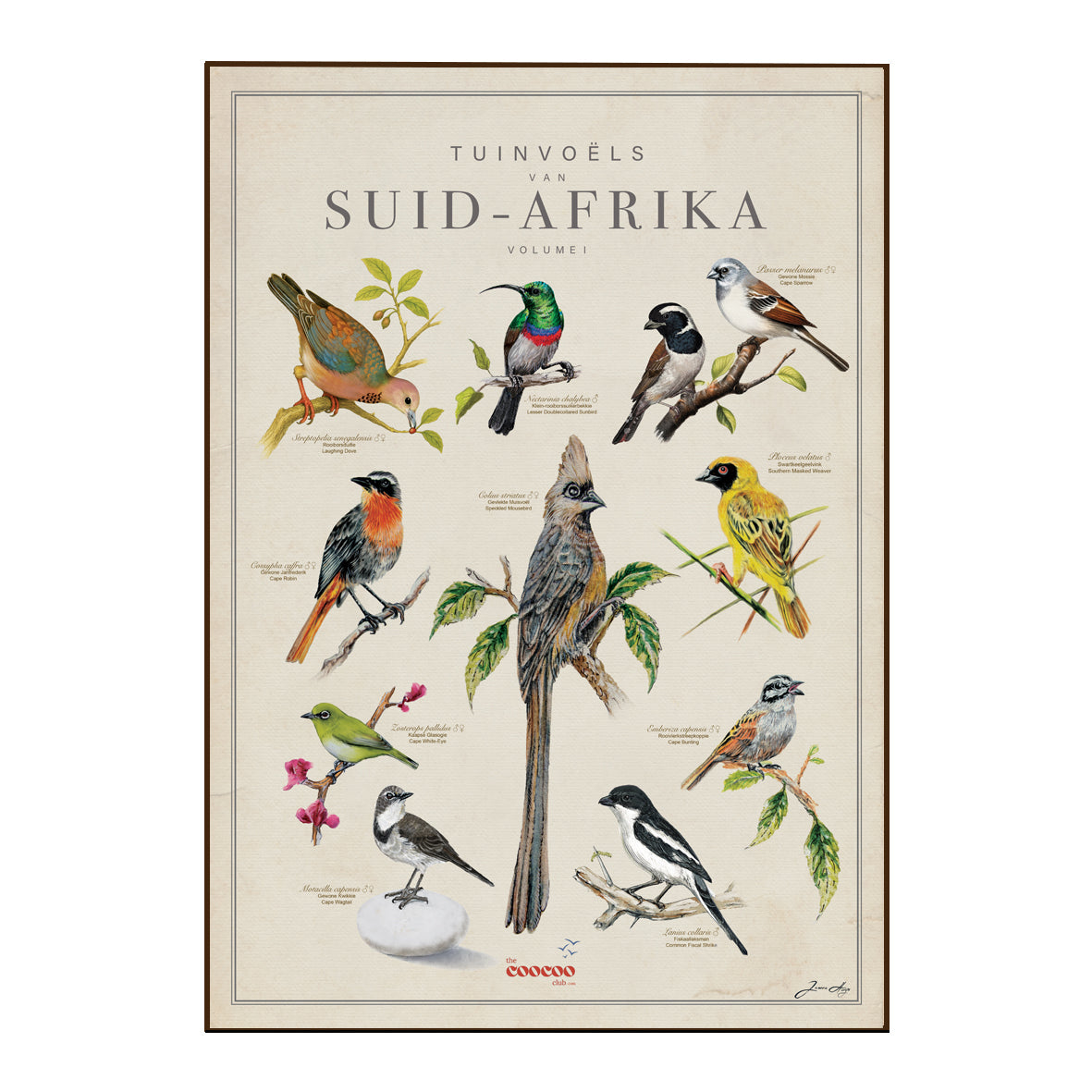 Bird Art Tea Towels
