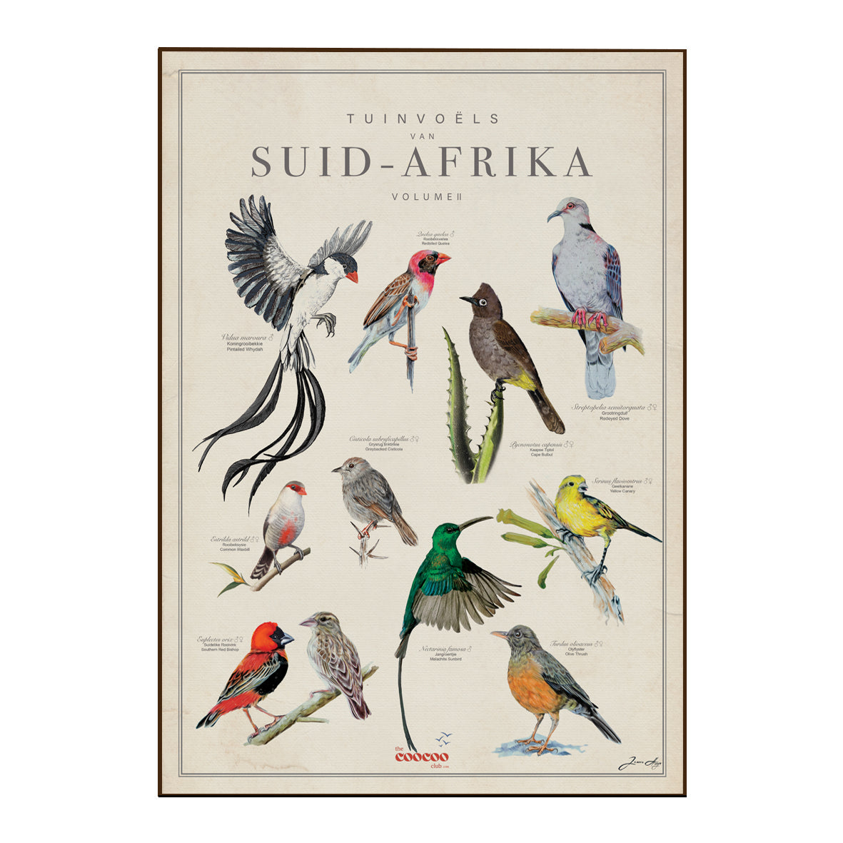 A framed vintage-style bird poster titled 'TUINVOELS VAN SUID-AFRIKA VOLUMES' featuring multiple illustrated birds on an aged cream background with a thin brown frame.