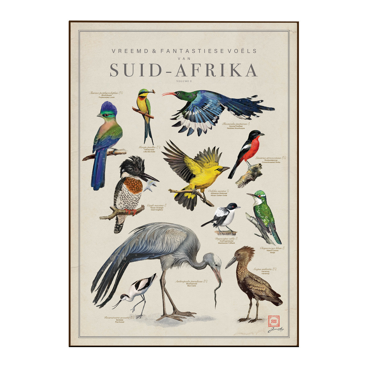 A vintage-style illustrated poster featuring various South African birds with Dutch text at the top reading 'VREEMD & FANTASIESIEVOELS VAN SUID-AFRIKA'. The print shows multiple bird species in colorful scientific illustration style on an aged cream background with a thin brown border, photographed against a plain white background.