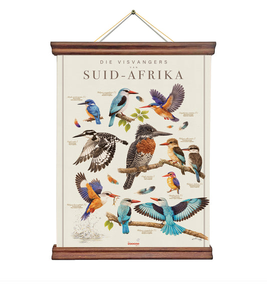 Kingfishers of SA Tea Towel