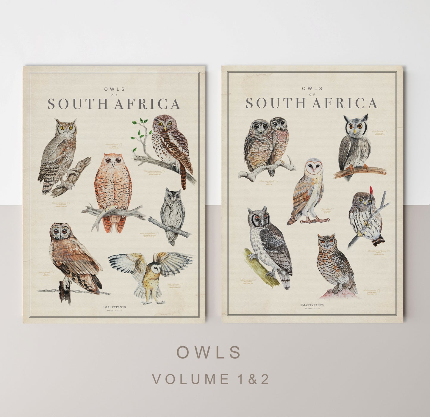 Owls of South Africa